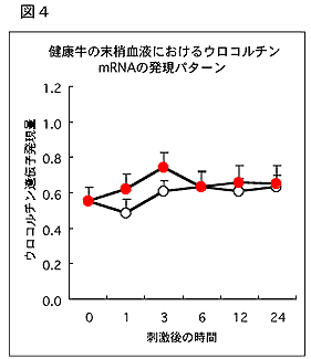 図4 健康牛の末梢血液ウロコルチンmRNAの発現パターン