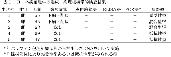 表1 ヨーネ病罹患牛の臨床・病理組織学的検査結果