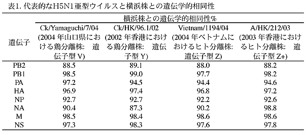 表1. 代表的なH5N1亜型ウイルスと横浜株との遺伝学的相同性