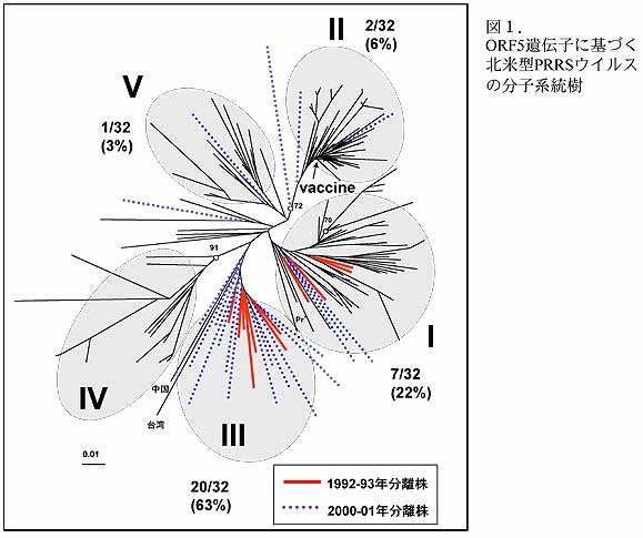 図1.ORF5遺伝子に基づく
北米型PRRSウイルスの分子系統樹