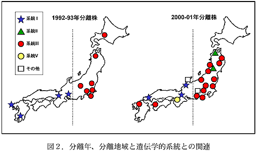 図2.分離年、分離地域と遺伝学的系統との関連