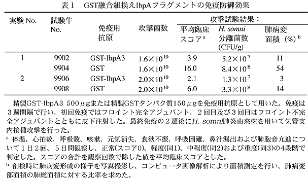 表1 GST融合組換えIbpAフラグメントの免疫防御効果