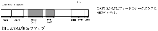 図1artAB領域のマップ