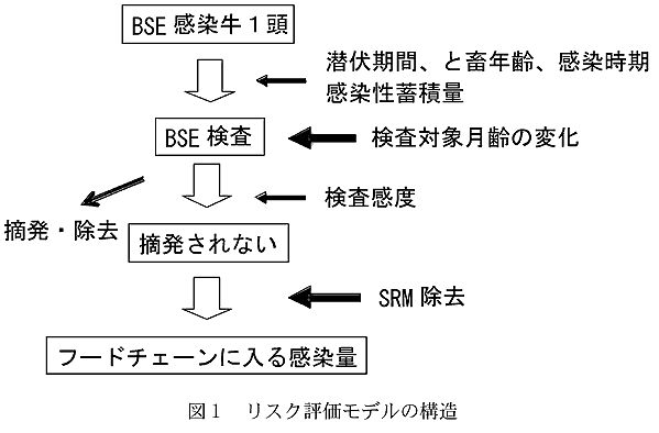 図1 リスク評価モデルの構造