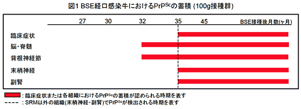 図1 BSE経口感染牛におけるPrPScの蓄積(100g接種群)