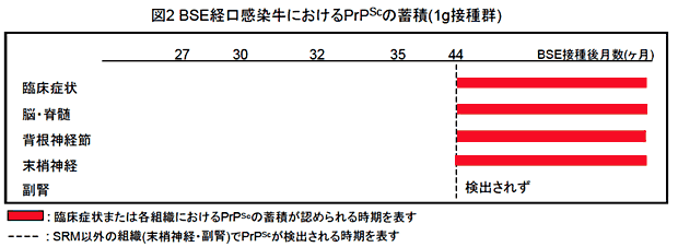 図2 BSE経口感染牛におけるPrPScの蓄積(1g接種群)