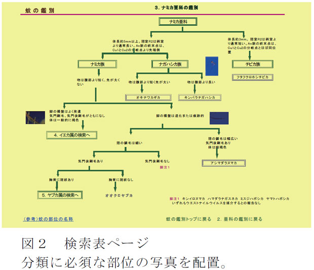 図2 検索表ページ