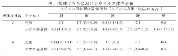 表. 接種マウスにおけるウイルス体内分布