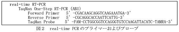 図2 real-time PCRのプライマーおよびプローブ