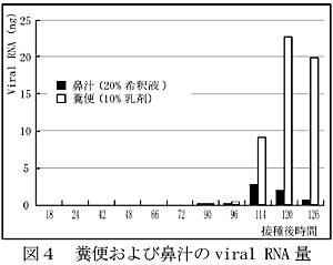 図4 糞便および鼻汁のviral RNA量