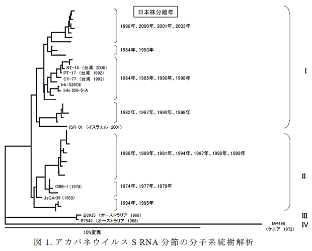 図1.アカバネウイルス S RNA 分節の分子系統樹解析
