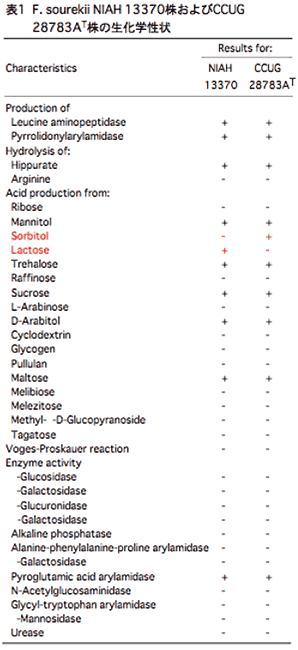 表1 F.sourekii NIAH 13370株およびCCUG 28783AT株の生化学性状