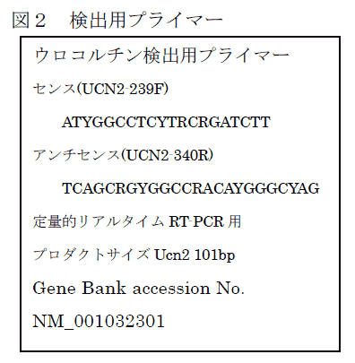 図2 検出用プライマー