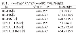 表1.cmeDEFおよびcmeABCの転写活性