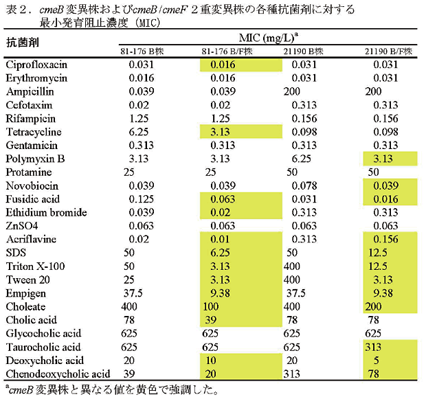 表2.cmeB変異株およびcmeB/cmeF2重変異株の各種抗菌剤に対する最小発育阻止濃度(MIC)