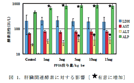 図 1. 肝臓関連酵素に対する影響