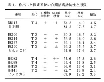 表1.作出した固定系統の白葉枯病抵抗性と形質