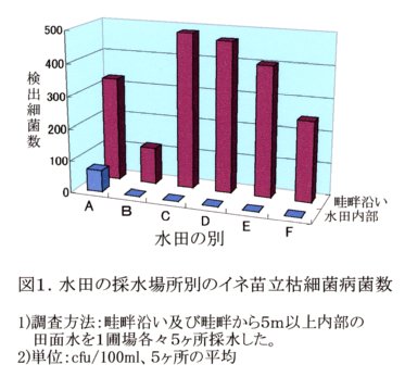 図1.水田の採水場所別のイネ苗立枯細菌病菌数