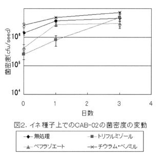 図2.イネ種子上でのCAB-02の菌密度の変動