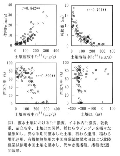 図1.湛水土壌におけるFe++濃度、イネ体内Fe濃度、乾物重、苗立ち率、土壌Ehの関係。稲わらやデンプンを様々な量添加し、異なる期間湛水した土壌、稲わら連用、稲わら堆肥連用、有機物無施用の中国農業試験場水田および北陸農業試験場水田土壌を湛水し、代かき後播種。播種後2週間栽培。