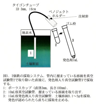 図1.2価鉄の採取システム。