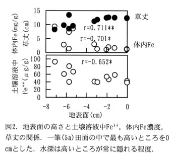 図2.地表面の高さと土壌溶液中Fe++、体内Fe濃度、草丈の関係、