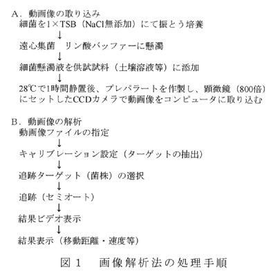 図1.画像解析法の処理手順