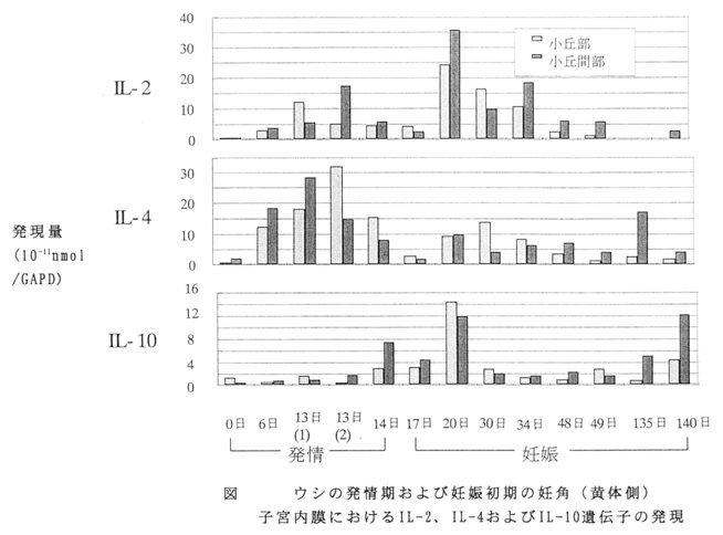 図.ウシの発情期および妊娠初期の妊角(黄体側)子宮内膜におけるIL-2、IL-4およびIL-10遺伝子の発現