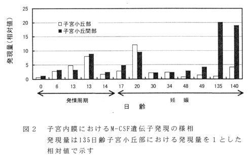 図2.子宮内膜におけるM-CSF遺伝子発現の様相