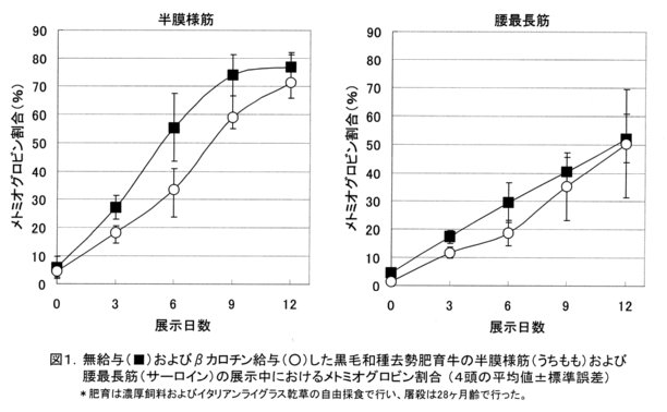 図1.無給与(■)およびβカロチン給与(○)した黒毛和種去勢肥育牛の半膜様筋(うちもも)および腰最長筋(サーロイン)の展示中におけるメトミオグロビン割合(4頭の平均値±標準誤差)