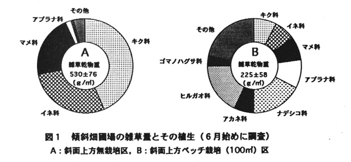 図1.傾斜畑圃場の雑草量とその植生