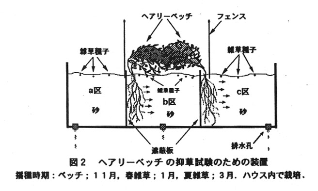 図2.ヘアリーベッチの抑草試験のための草地