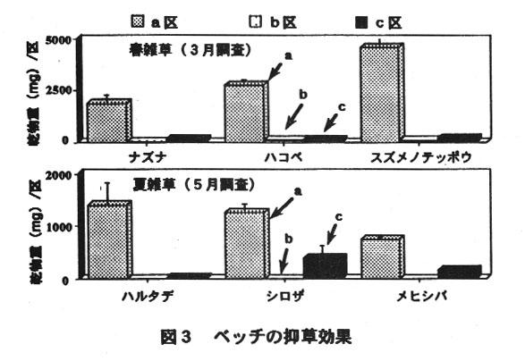 図3.ベッチの抑草効果