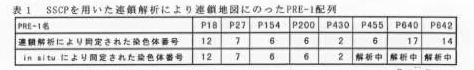 表1 SSCPを用いた連鎖解析により連鎖地図に載ったPRE-1配列