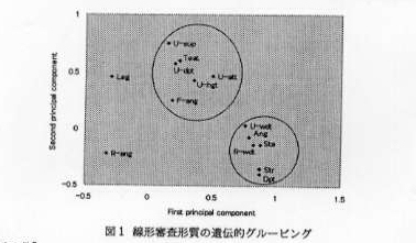 図1 線形審査形質の遺伝的グルーピング