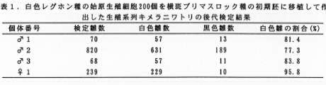 表1 白色レグホン種の始原生殖細胞200個を横斑プリマスロック種の初期胚に移植して作出した生殖系列キメラニワトリの後代検定結果