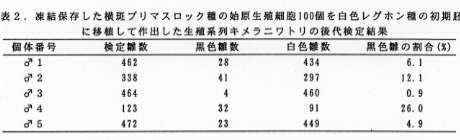 表2 凍結保存した横斑プリマスロック種の始原生殖細胞100個を白色レグホン種の初期胚に移植して作出した生殖系列キメラニワトリの後代検定結果