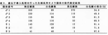 表3 遺伝子導入処置を行った生殖系列キメラ個体の後代検定結果