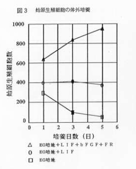 図3 始原生殖細胞の体外培養