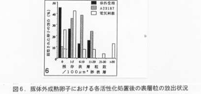 図6 豚体外成熟卵子における各活性化処置後の表層粒の放出状況