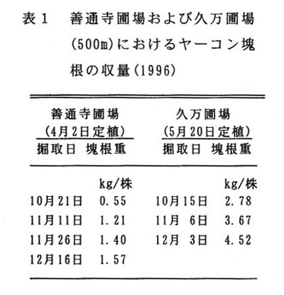 表1.善通寺圃場および久万圃場におけるヤーコン塊根の収量