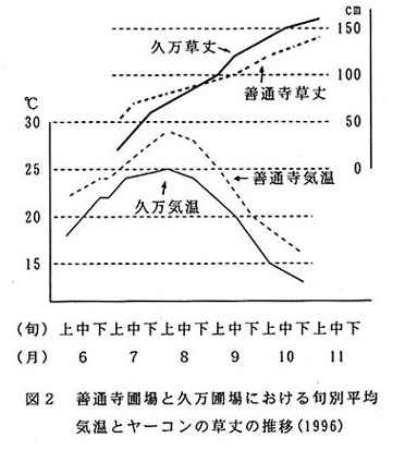 図2.善通寺圃場と久万圃場における旬別平均気温とヤーコンの草丈の推移
