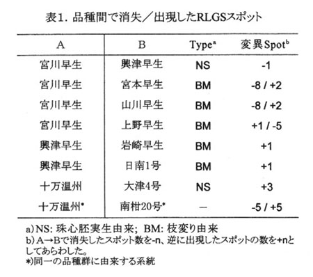 表1.品種間で消失/出現したRLGSスポット