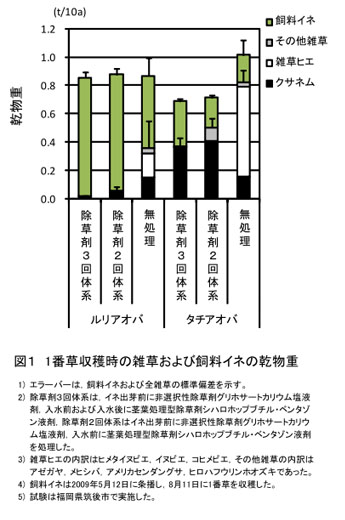 図1 1番草収穫時の雑草および飼料イネの乾物重