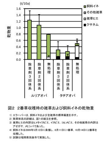 図2 2番草収穫時の雑草および飼料イネの乾物重