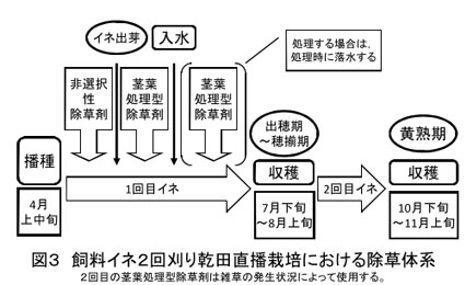 図3 飼料イネ2回刈り乾田直播栽培における除草体系