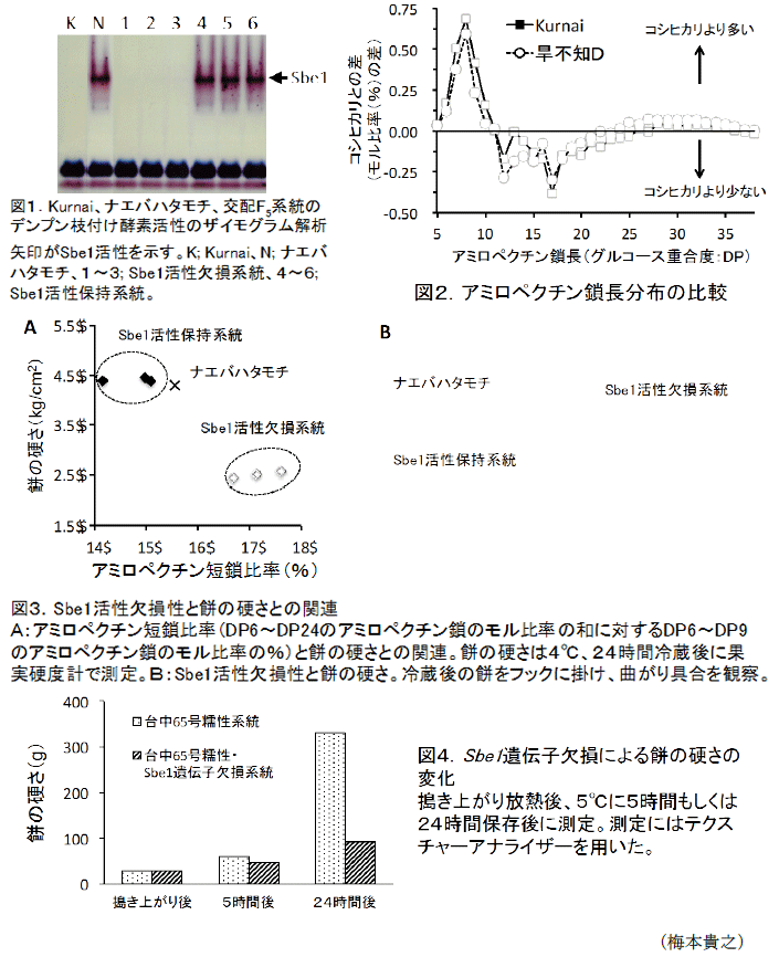 図1～4