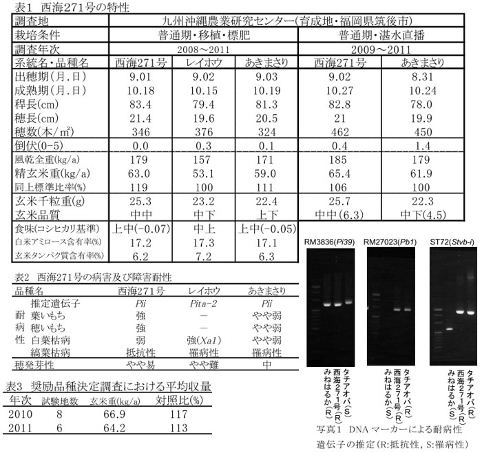 表1 西海271号の特性