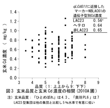 図3 玄米品質と玄米Cd濃度の相関(2010A圃)