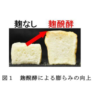 図1 麹醗酵による膨らみの向上